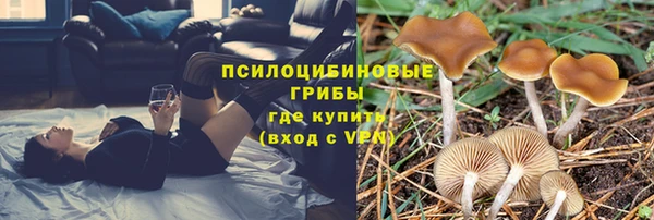 эйфоретик Богданович