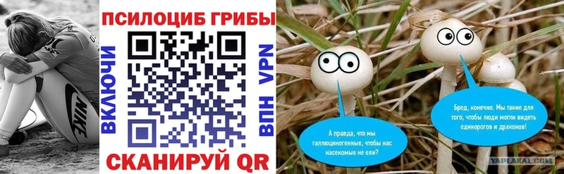 Галлюциногенные грибы GOLDEN TEACHER  где найти   Тольятти 